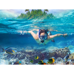 Diving in Panama 2022